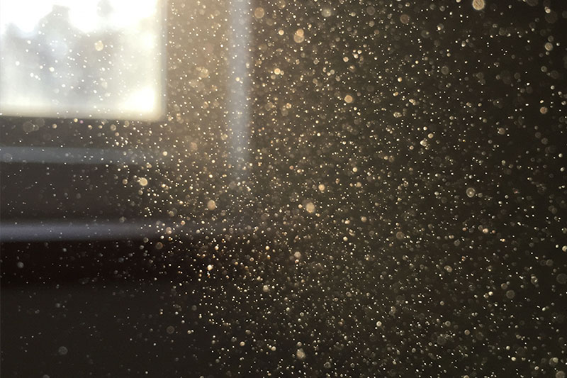 Causes and Risk Factors of Ocular Surface Disease